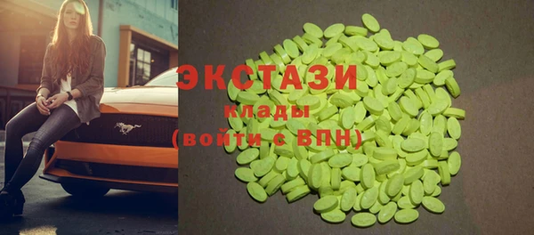индика Киреевск