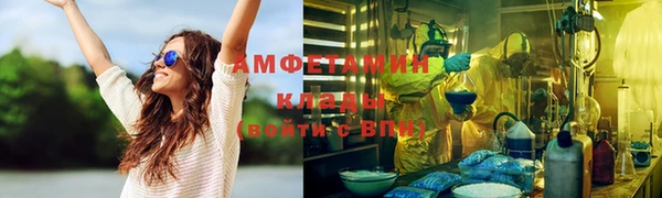 индика Киреевск
