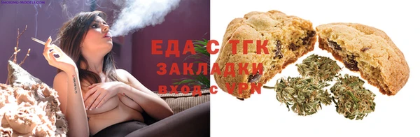 индика Киреевск