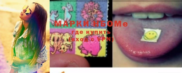 индика Киреевск