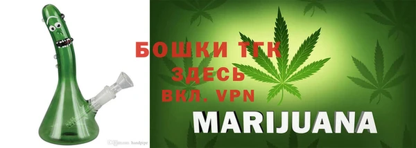 индика Киреевск