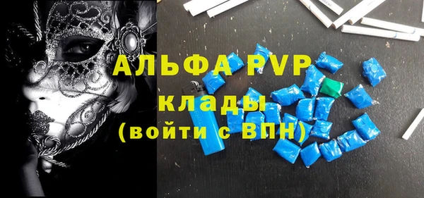 индика Киреевск