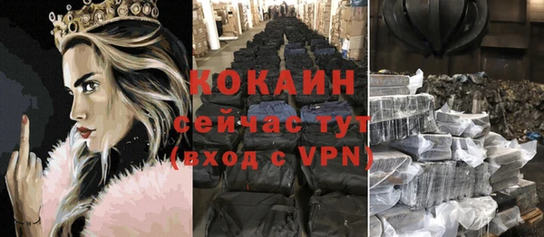 индика Киреевск