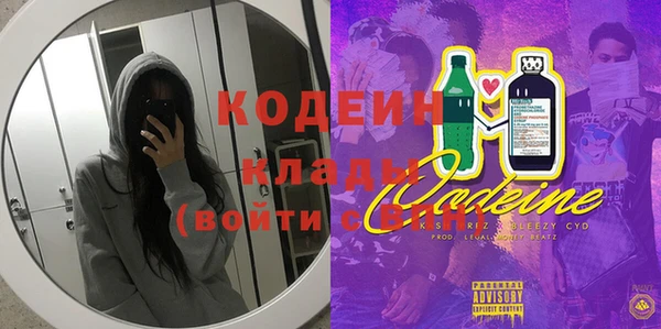 индика Киреевск