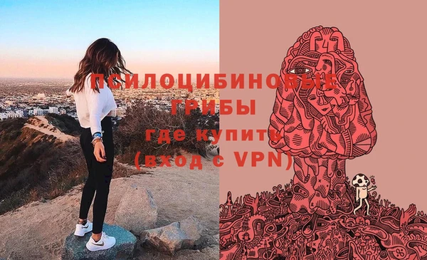 индика Киреевск