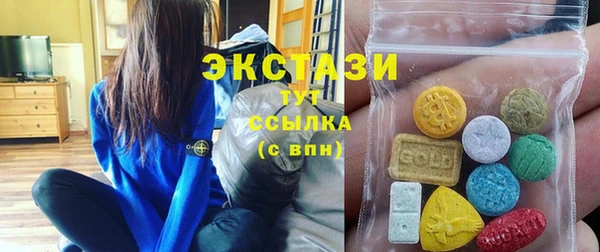 индика Киреевск