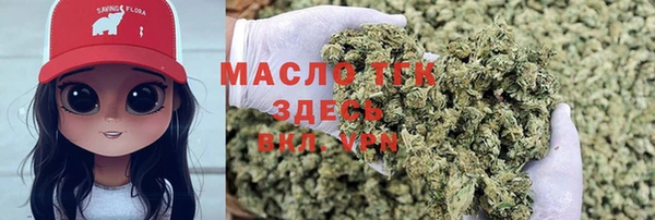 индика Киреевск