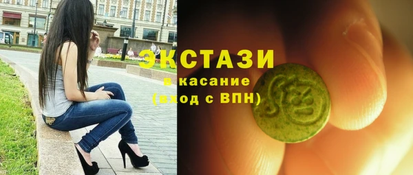 индика Киреевск
